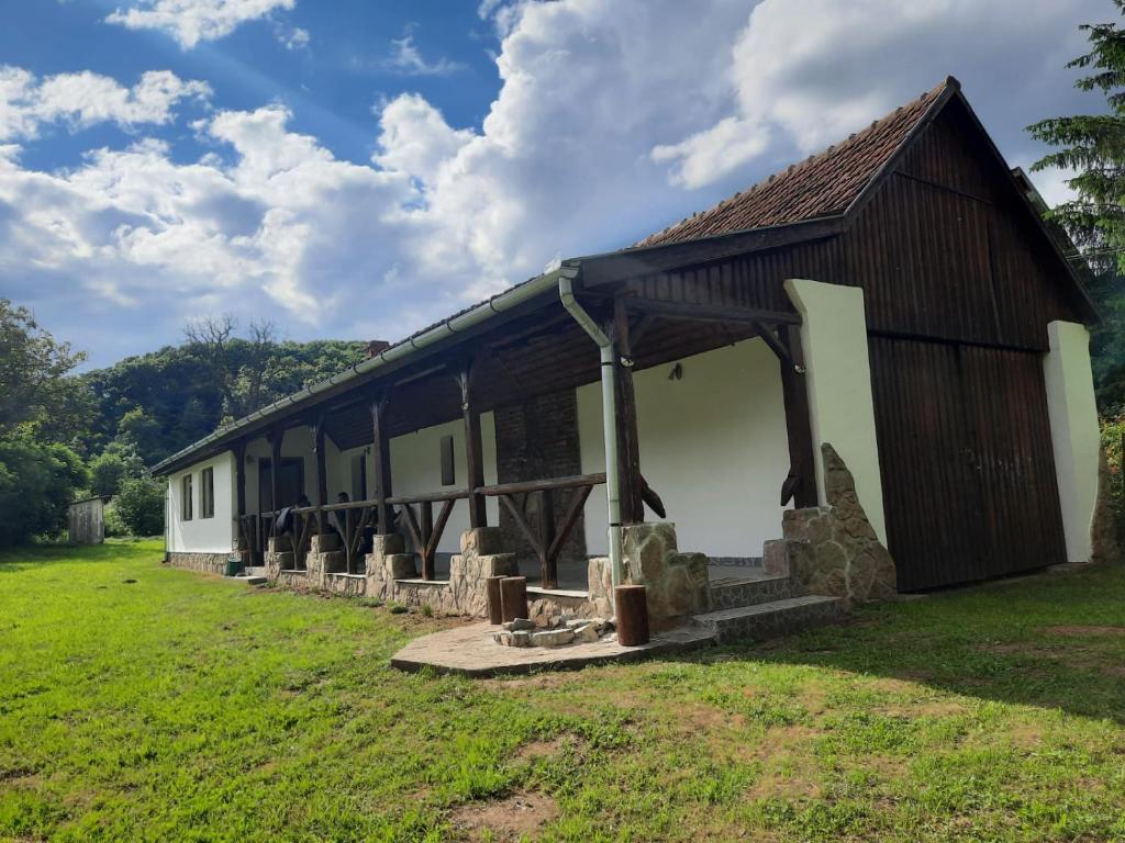 ein kleines Gebäude mit einem Dach auf einem grünen Feld in der Unterkunft Casa de Peste Apă in Peşteana