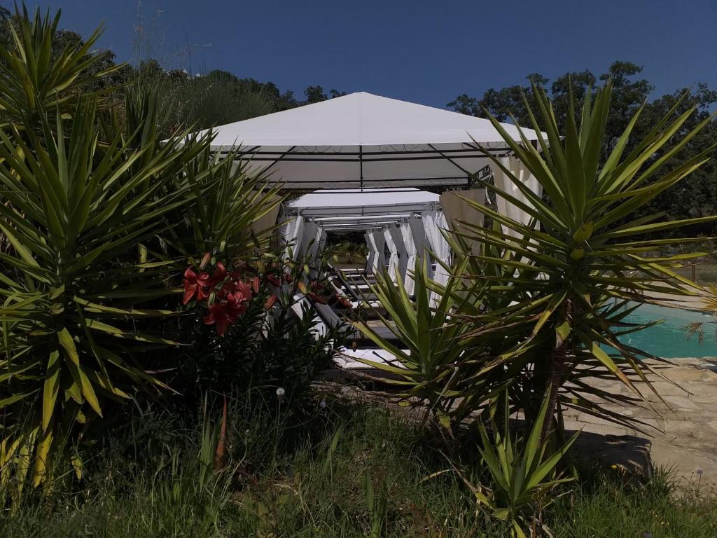 A garden outside El Sosiego