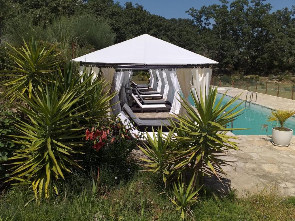 A garden outside El Sosiego