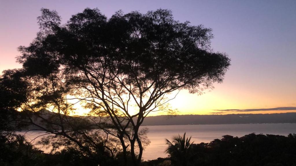  Siriúba Reserve