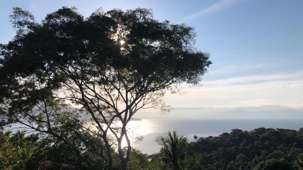 Siriúba Reserve