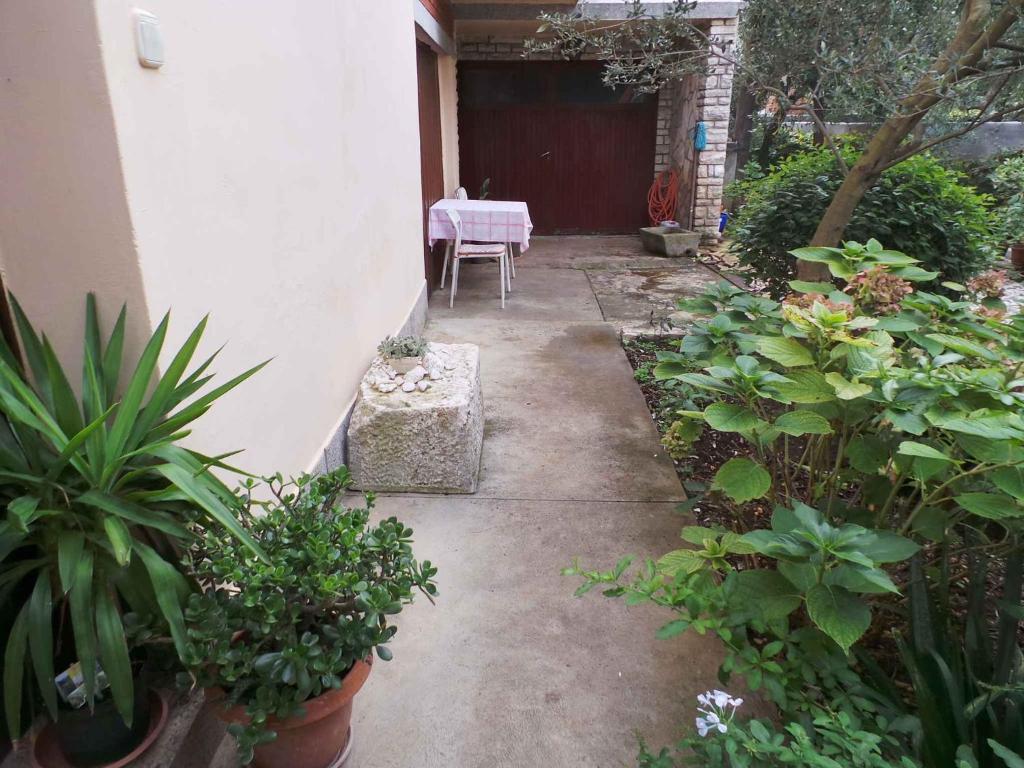 Vonkajšia záhrada v ubytovaní Apartment Zadar, Zadar County 8