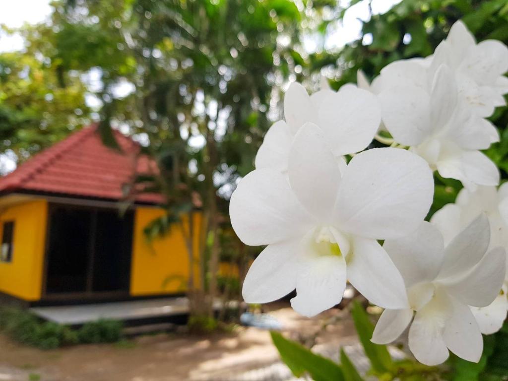 Zahrada ubytování ริมระเบียงทะเล รีสอร์ท