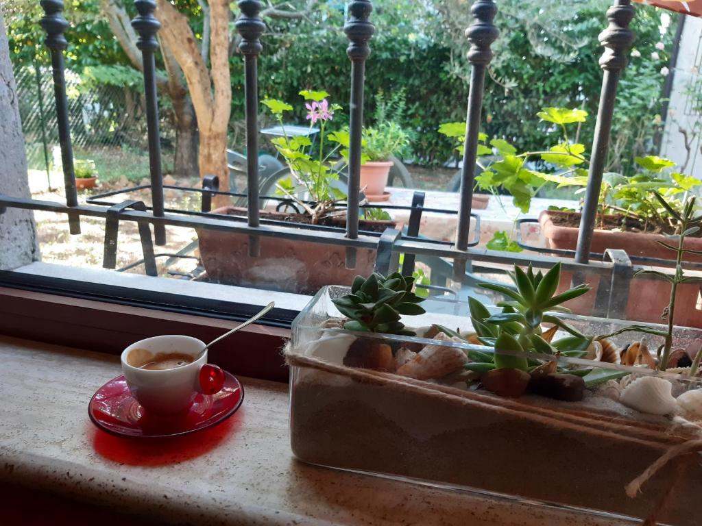 un tavolo con una tazza di caffè e una pianta in vaso di B&B MAMMA ARI a Fermo