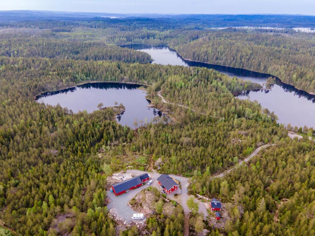 Bäckefors的住宿－Lillesjö stuguthyrning，湖畔森林中房屋的空中景观