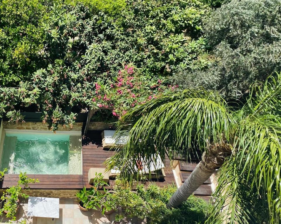 uma palmeira em frente a uma piscina em Spirit Of The Knights Boutique Hotel in Ilha de Rhodes