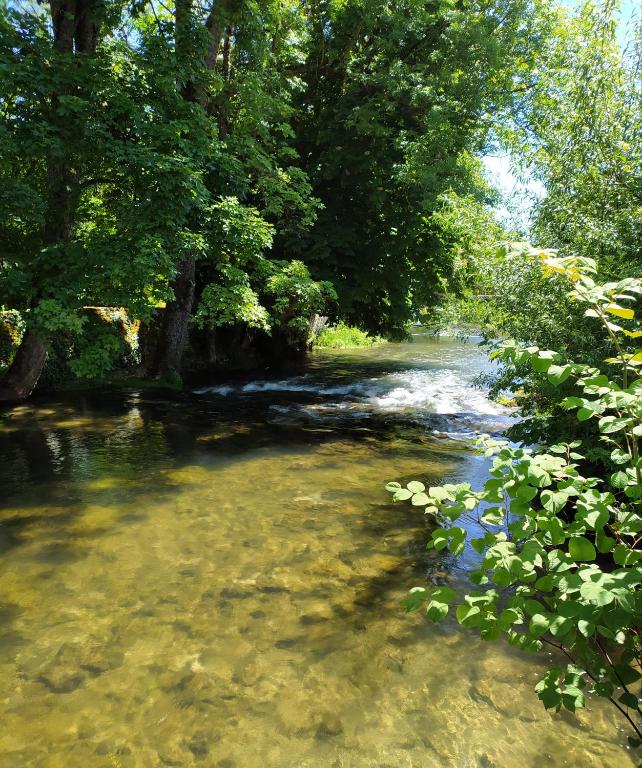 a stream of water with trees on the side of it at L'orée des 3 Rivières in Is-sur-Tille