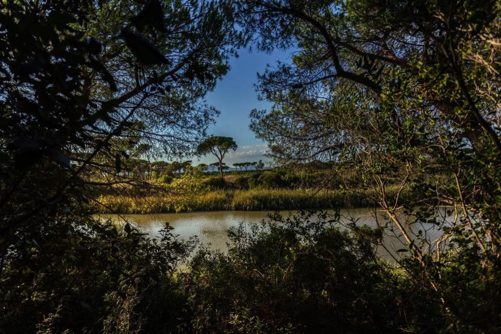 vista su un fiume attraverso gli alberi di Camping Village Il Sole a Marina di Grosseto