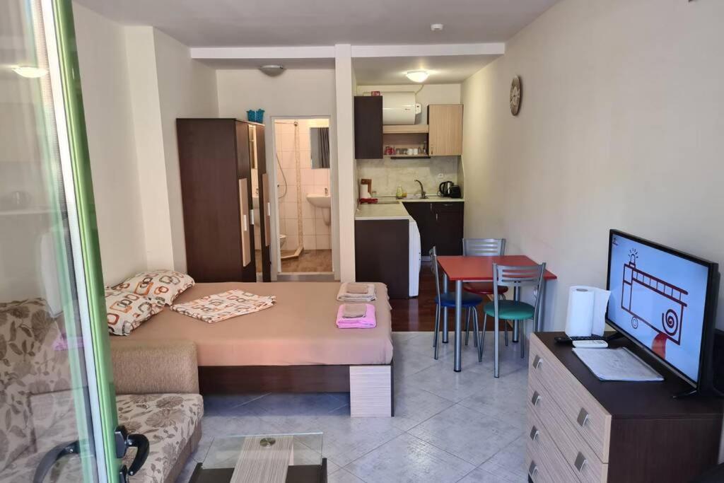 One room apartment with pool Saints Constantine and Helena