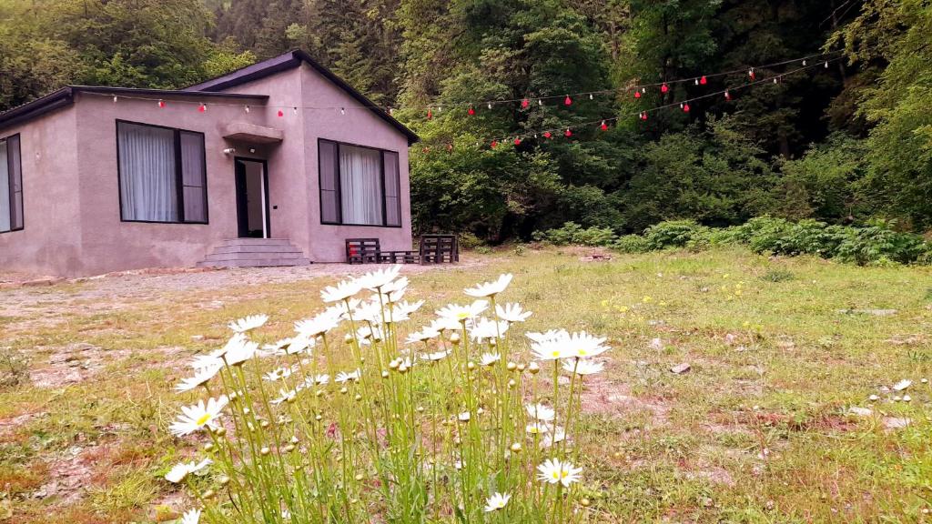 Cozy house in the forest في بورجومي: منزل في حقل مع الزهور أمامه