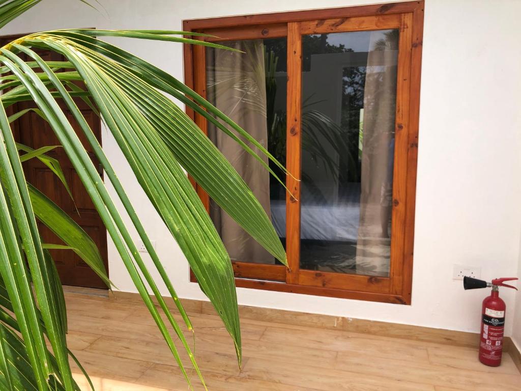 Fotografie z fotogalerie ubytování Dacha Thoddoo v destinaci Thoddoo