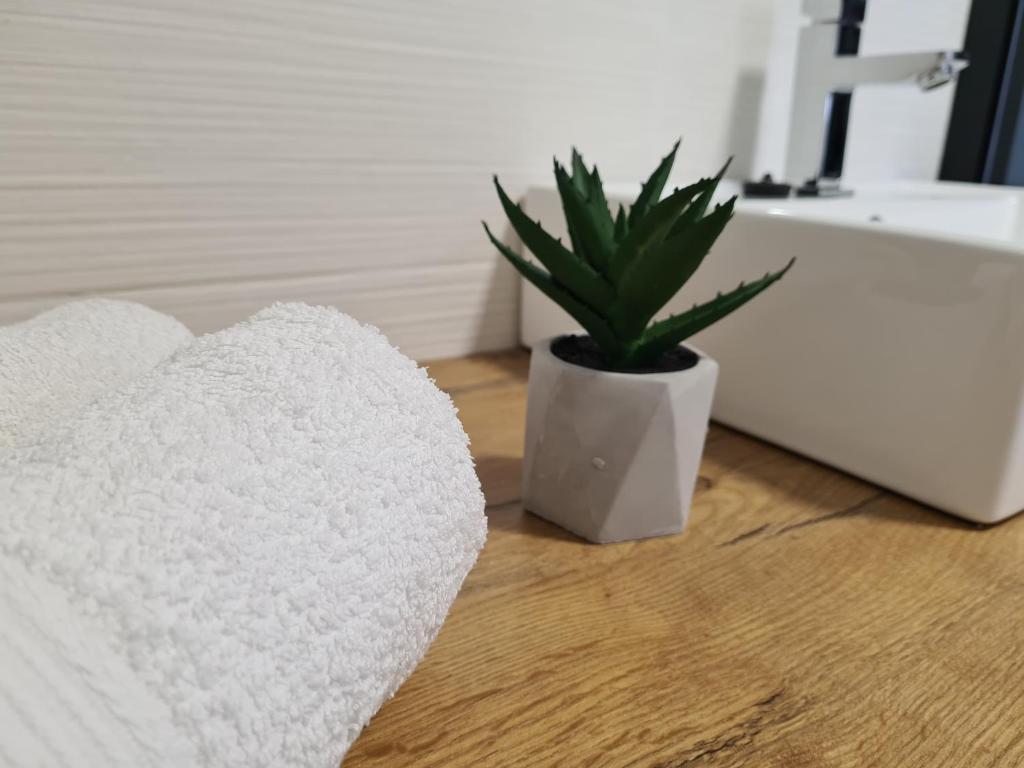Fotografie z fotogalerie ubytování Studio Apartman ''IN'' v destinaci Opatija