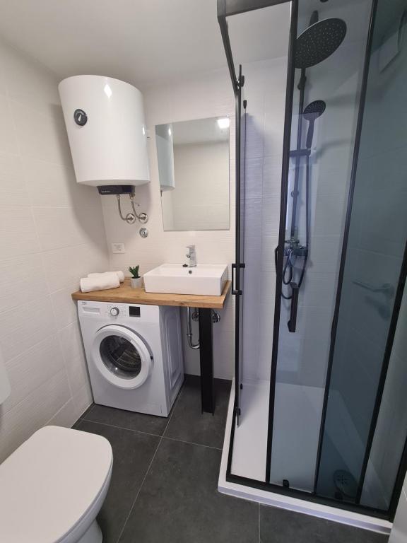 Koupelna v ubytování Studio Apartman ''IN''