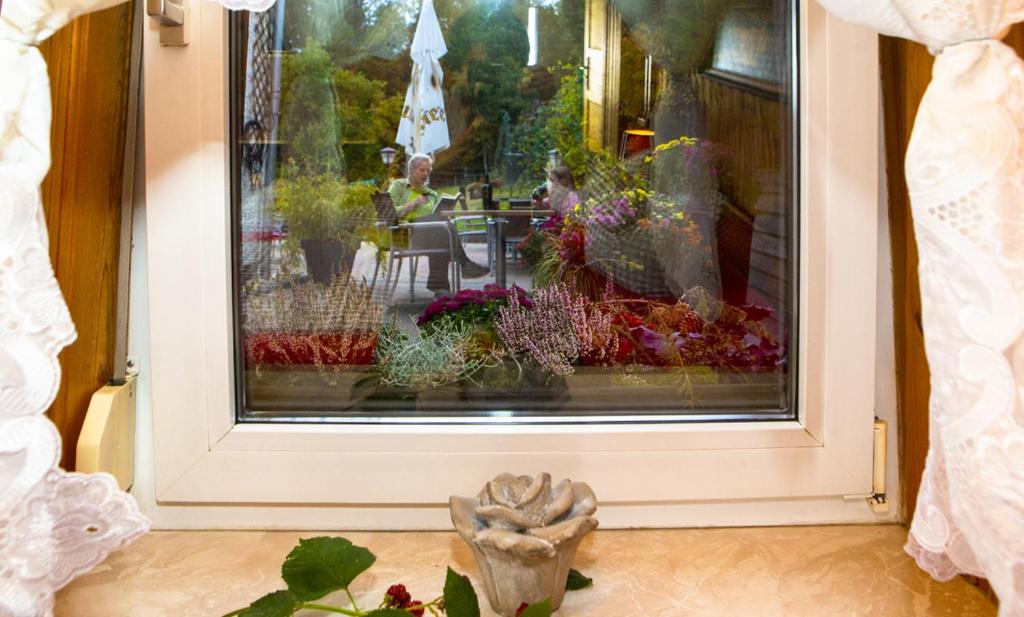Zahrada ubytování Pension Haus Fürstenberg