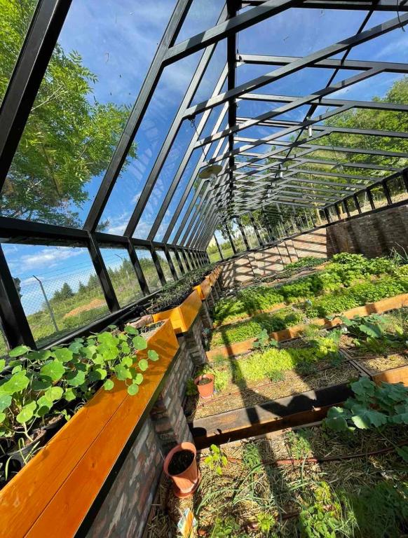 Zahrada ubytování István Parkhotel és Gasztrofarm