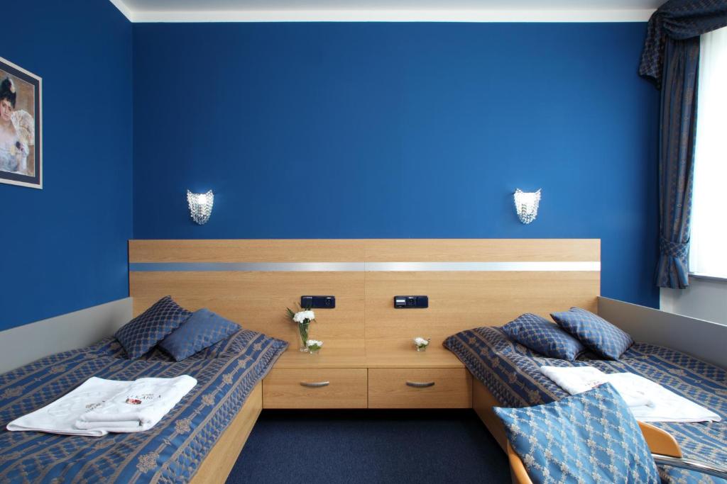 Hotel U Karla - Resim 18