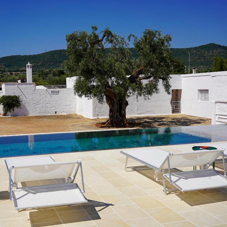 a swimming pool with two chairs and a tree at Masseria Pezze Galere Piscina privata in Fasano