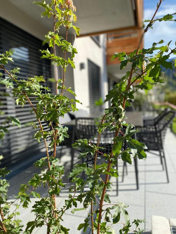 moun10 urlaubswohnen - 19