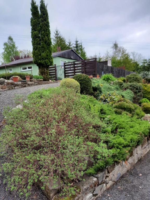 un jardín con arbustos y una casa al fondo en U Chalupy na Kopečku, en Krásná Lípa