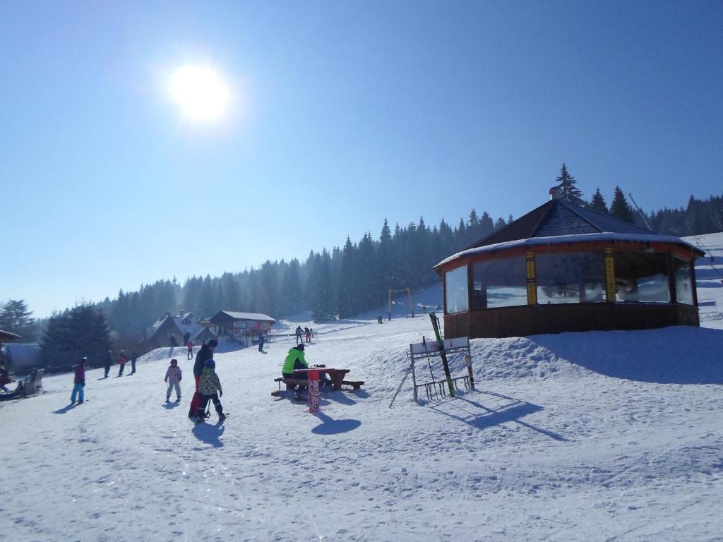Horský penzion a bistro Čepice v zimě