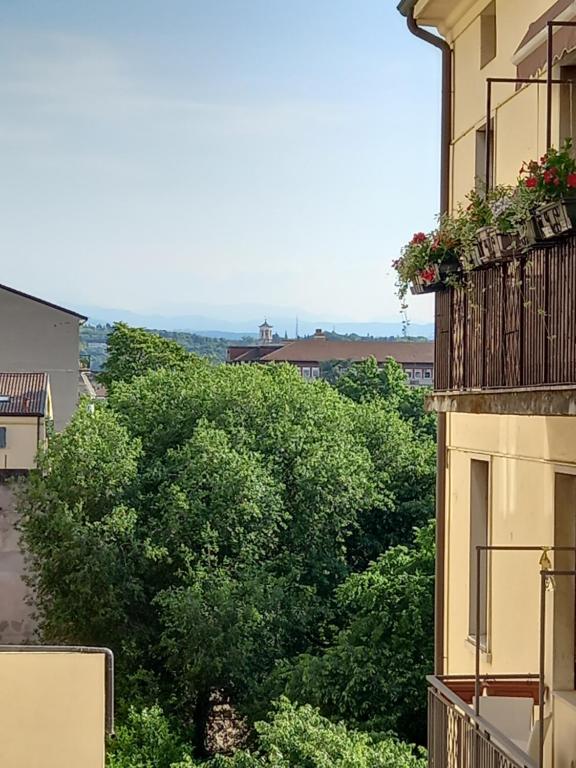 Príroda v okolí apartmánu