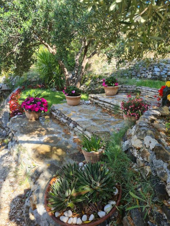 Fotografie z fotogalerie ubytování Apartman Dalmatia v destinaci Duće
