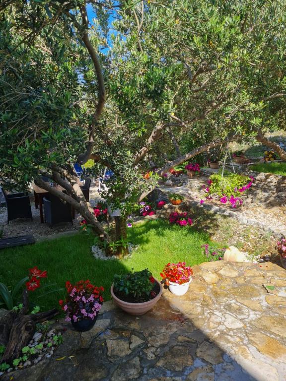 Fotografie z fotogalerie ubytování Apartman Dalmatia v destinaci Duće