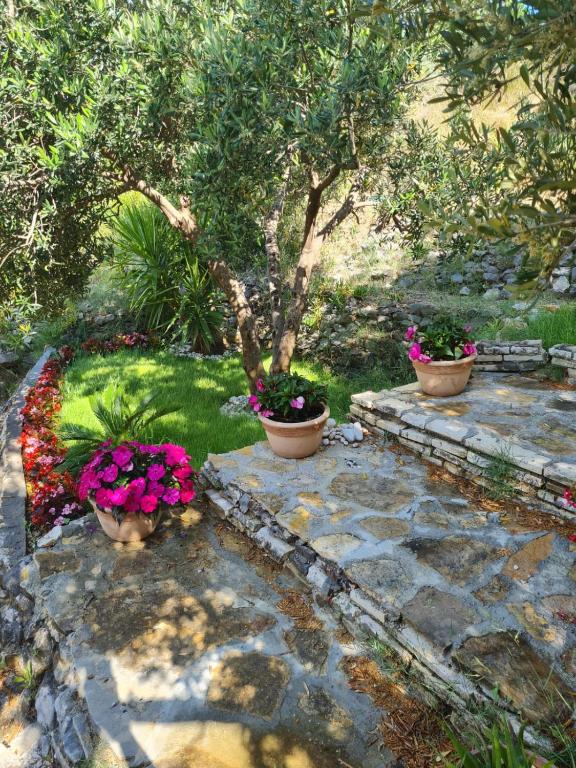 Fotografie z fotogalerie ubytování Apartman Dalmatia v destinaci Duće