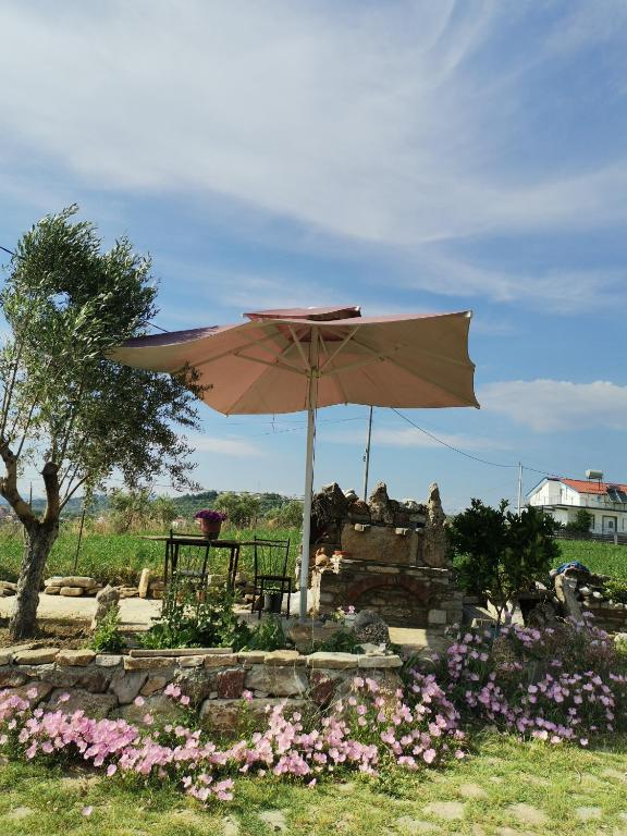 Hotel Bora - Imazhi 8