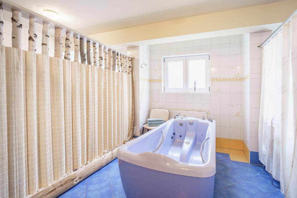 Fotografie z fotogalerie ubytování Francis SPA HOTEL v destinaci Františkovy Lázně