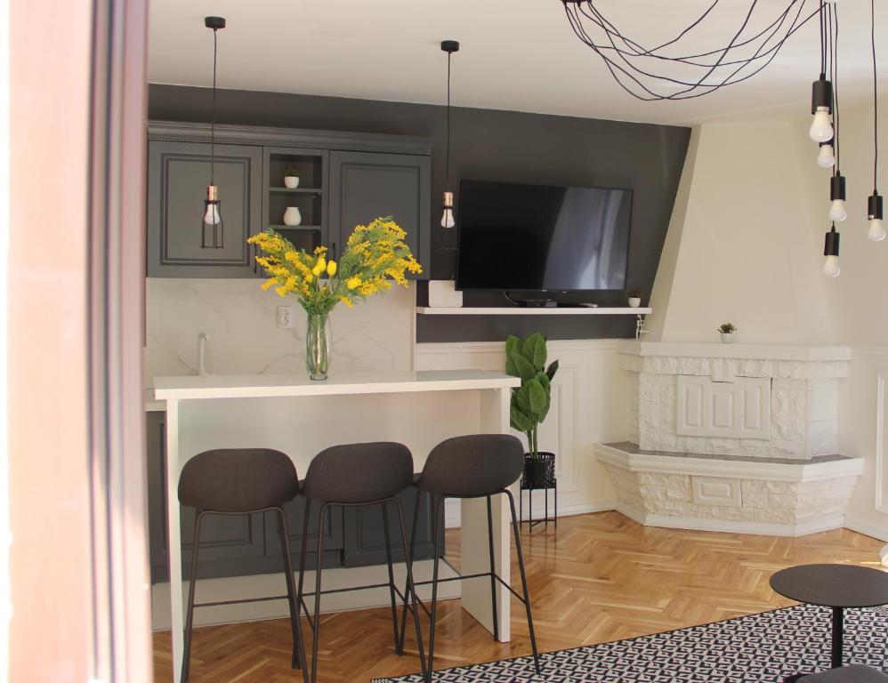 TV a/nebo společenská místnost v ubytování Apartments Marković