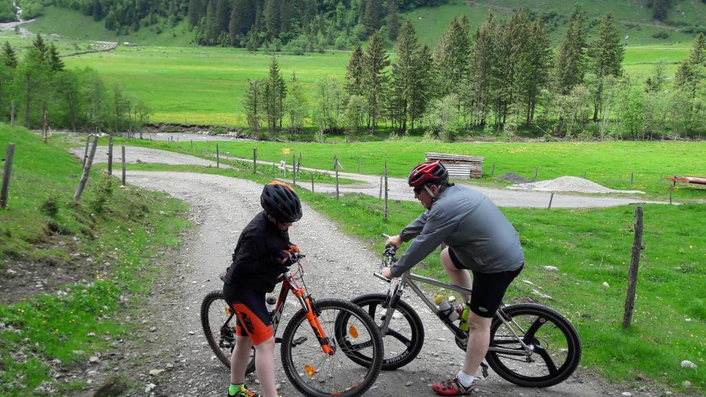 Hosté ubytování Pension Alpenrose