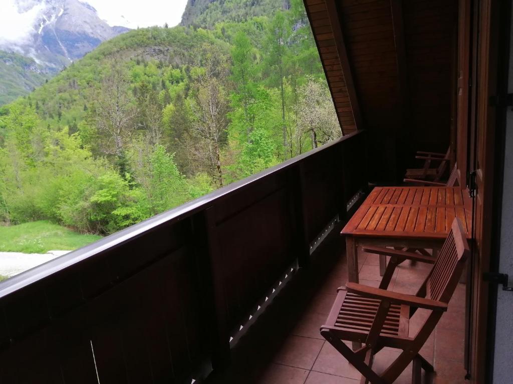 Příroda nedaleko apartmánu