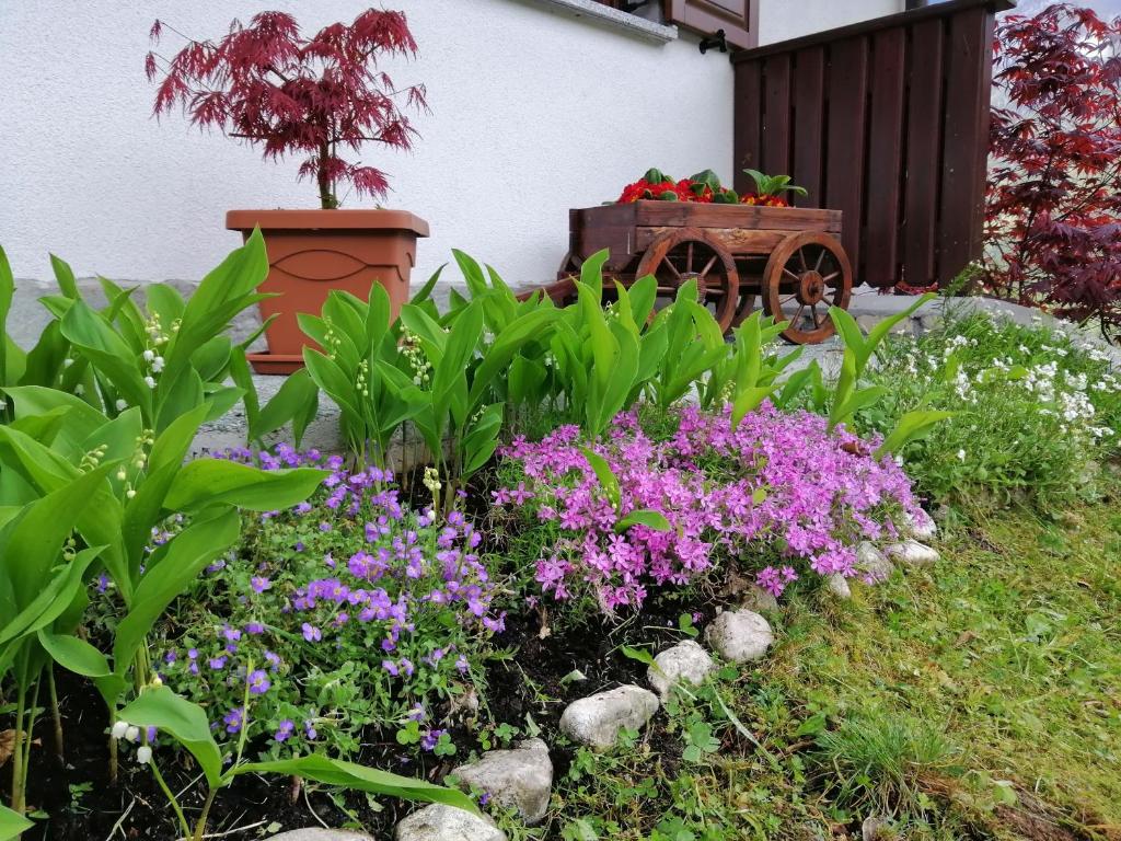 Zahrada ubytování Počitniško stanovanje PLANJA