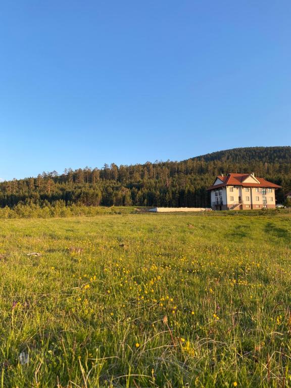 a field with a house in the middle of a field at Apartmani Ribnica Tornik in Zlatibor