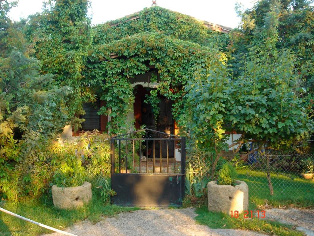 Vonkajšia záhrada v ubytovaní Casa Rural Finca Umbría