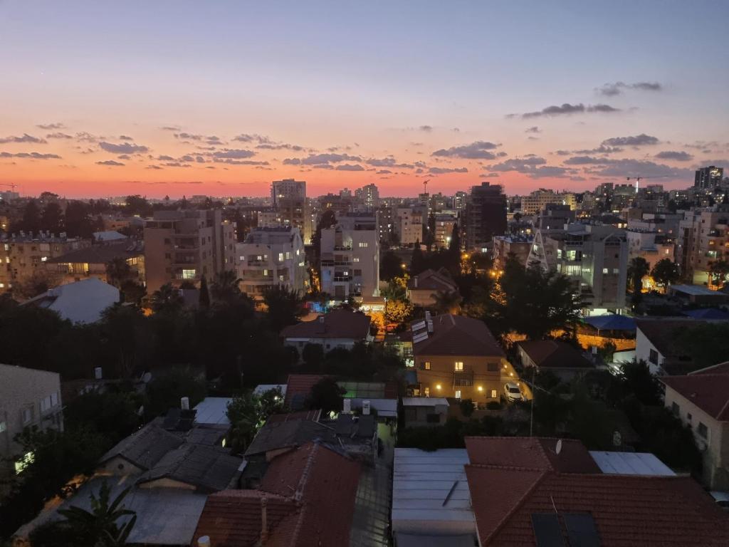 Penthouse In The City - Apartamento Dúplex