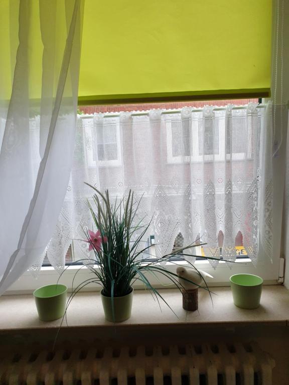 Fotografie z fotogalerie ubytování Riposo v destinaci Emden