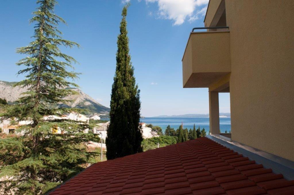 Příroda nedaleko apartmánu
