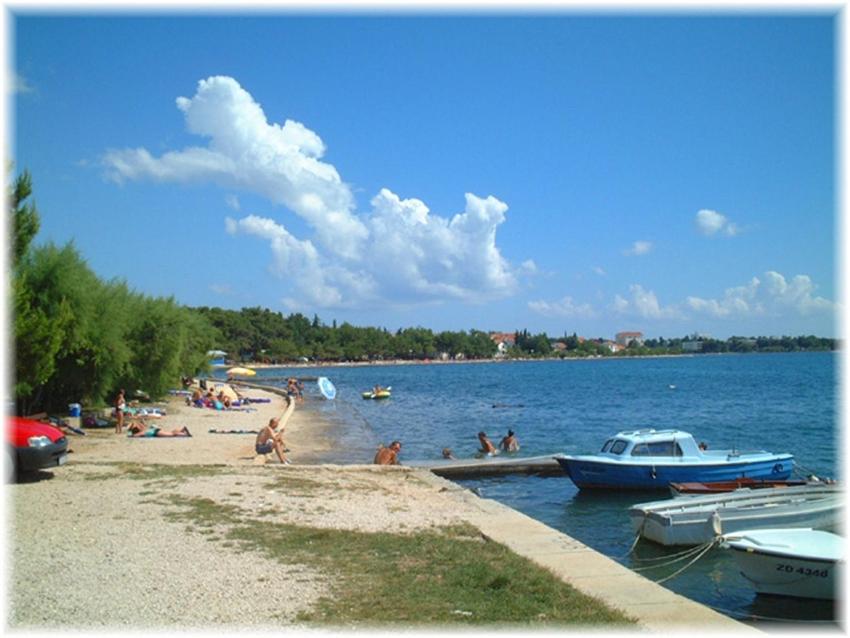 Przyroda w pobliżu tego apartamentu