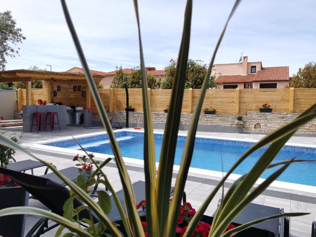 una vista de una piscina desde detrás de una planta en Apartment Brioni Sea,Garden,Poll view 2 plus 2 80m2 tiki bar, en Peroj