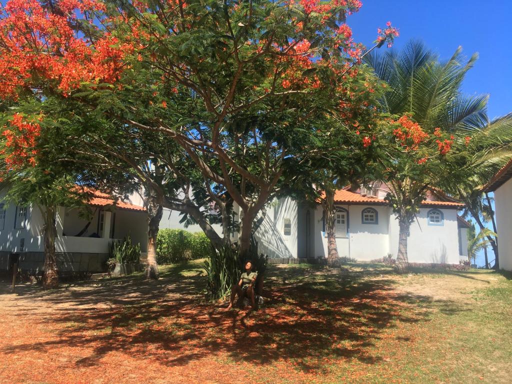  Alma Tropical Resort