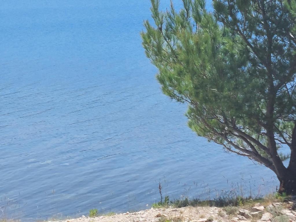 Przyroda w pobliżu tego domu wakacyjnego