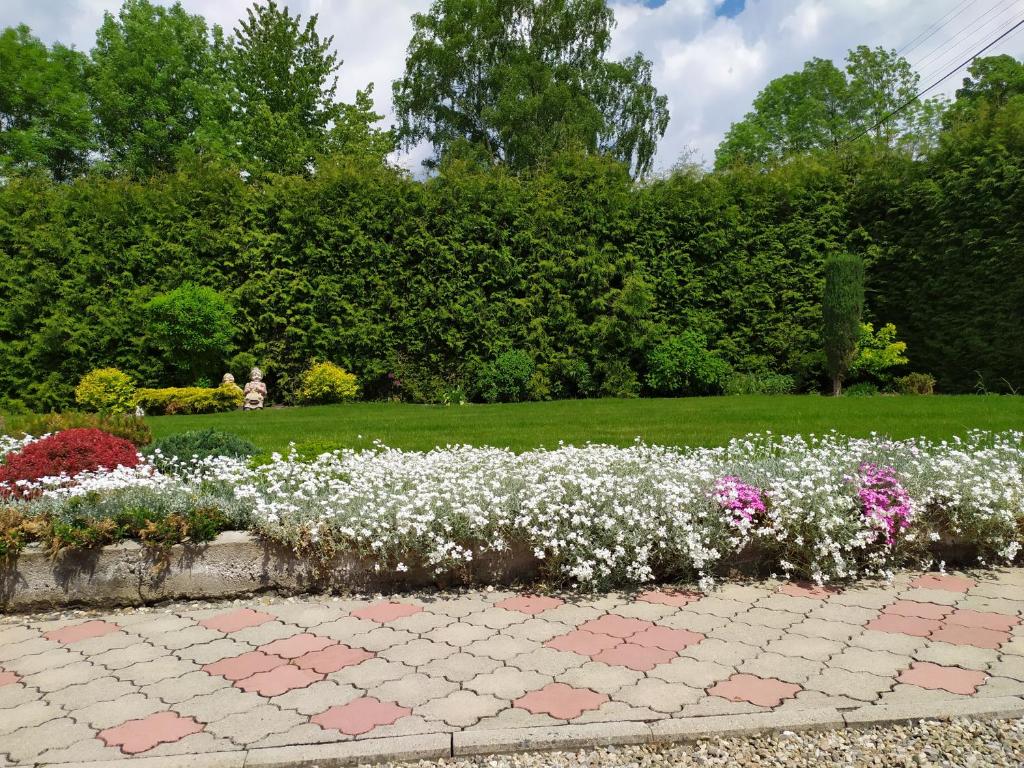 Ogród w obiekcie Apartmány Okoun
