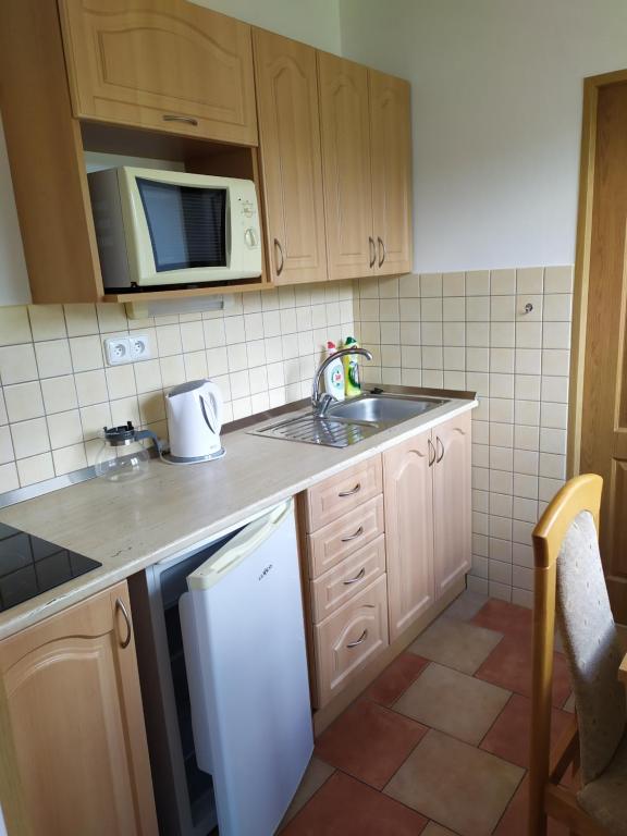Kuchnia lub aneks kuchenny w obiekcie Apartmány Okoun