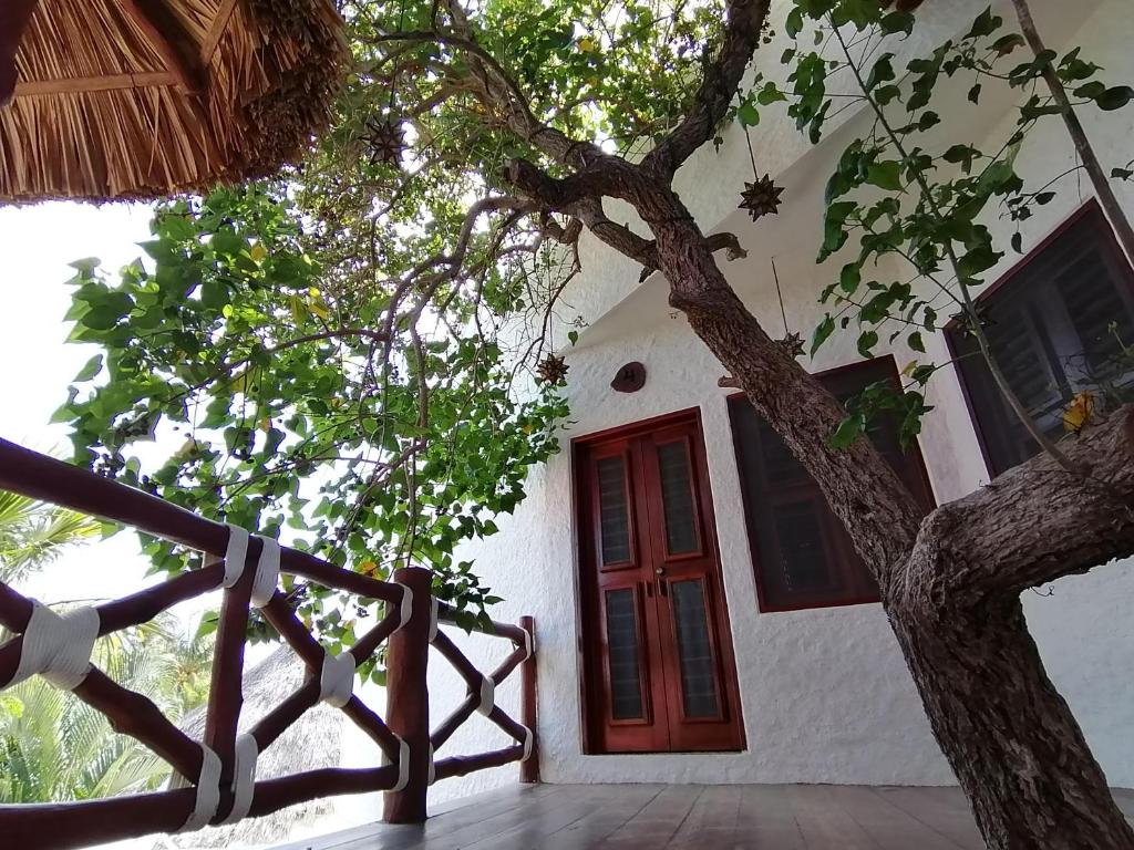 Foto dalla galleria di Casa Mech a Isola Holbox
