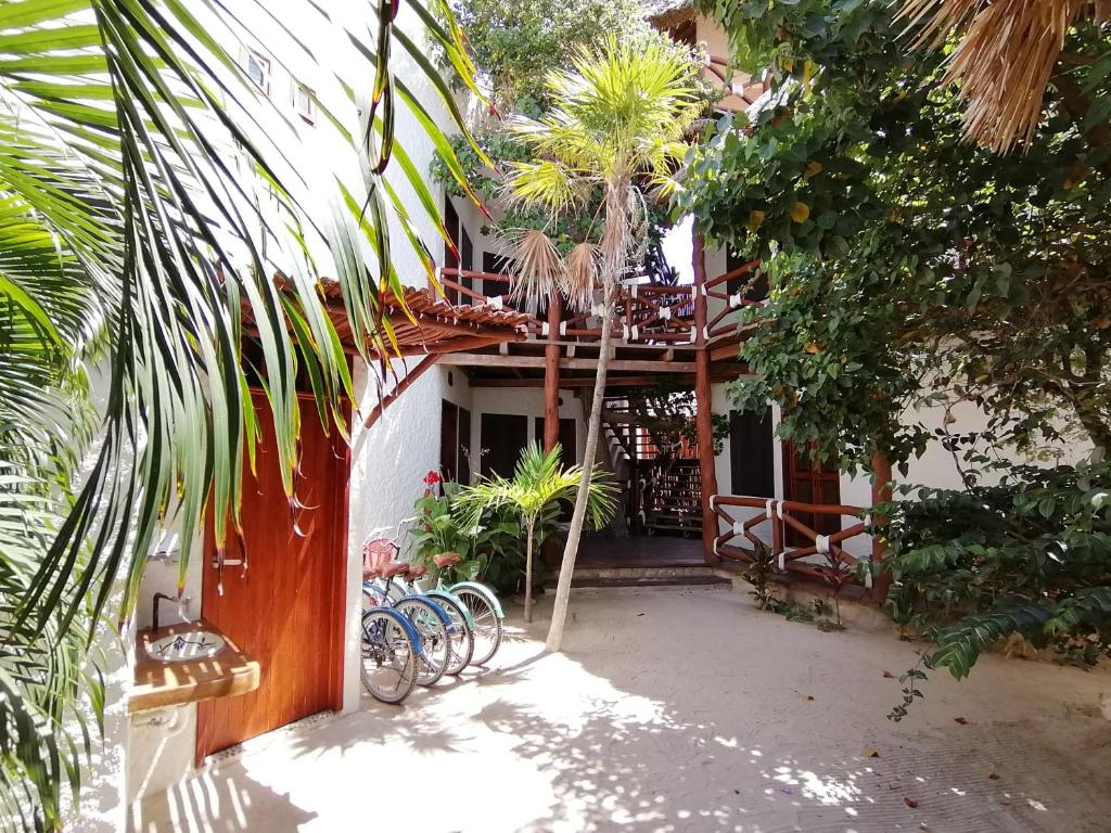 Giardino di Casa Mech
