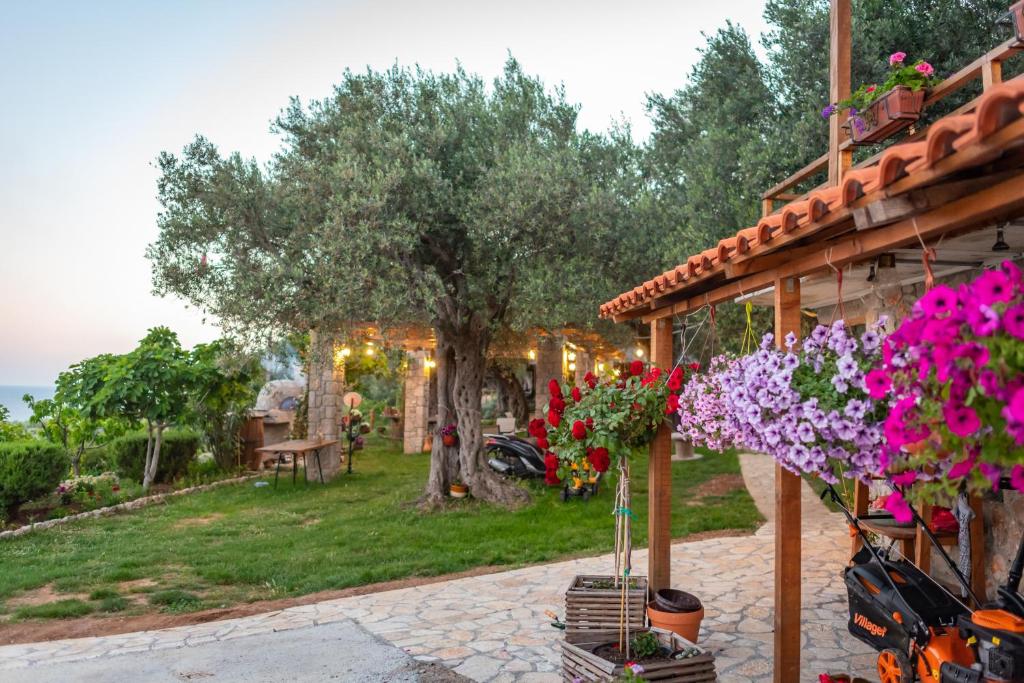 Holiday Park Olive Tree Ulcinj Updated 2021 Prices