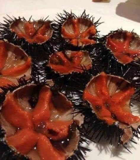 Cibo presso l'appartamento o nelle vicinanze