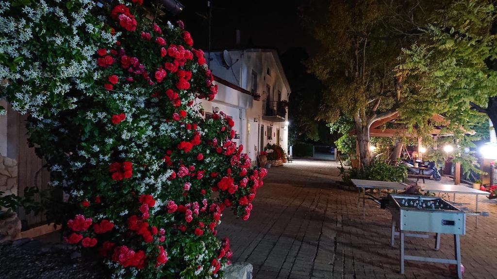 un mur de roses rouges sur une rue la nuit dans l'établissement La Quiete, à Montenero di Bisaccia